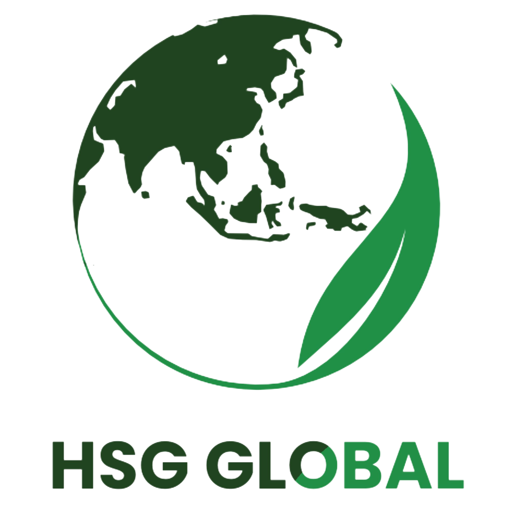 HSG Global
